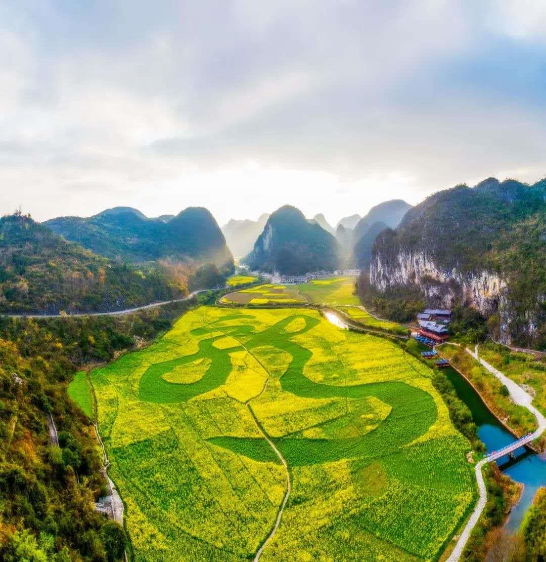 一沐春风万顷黄 黔山秀水“满地金”