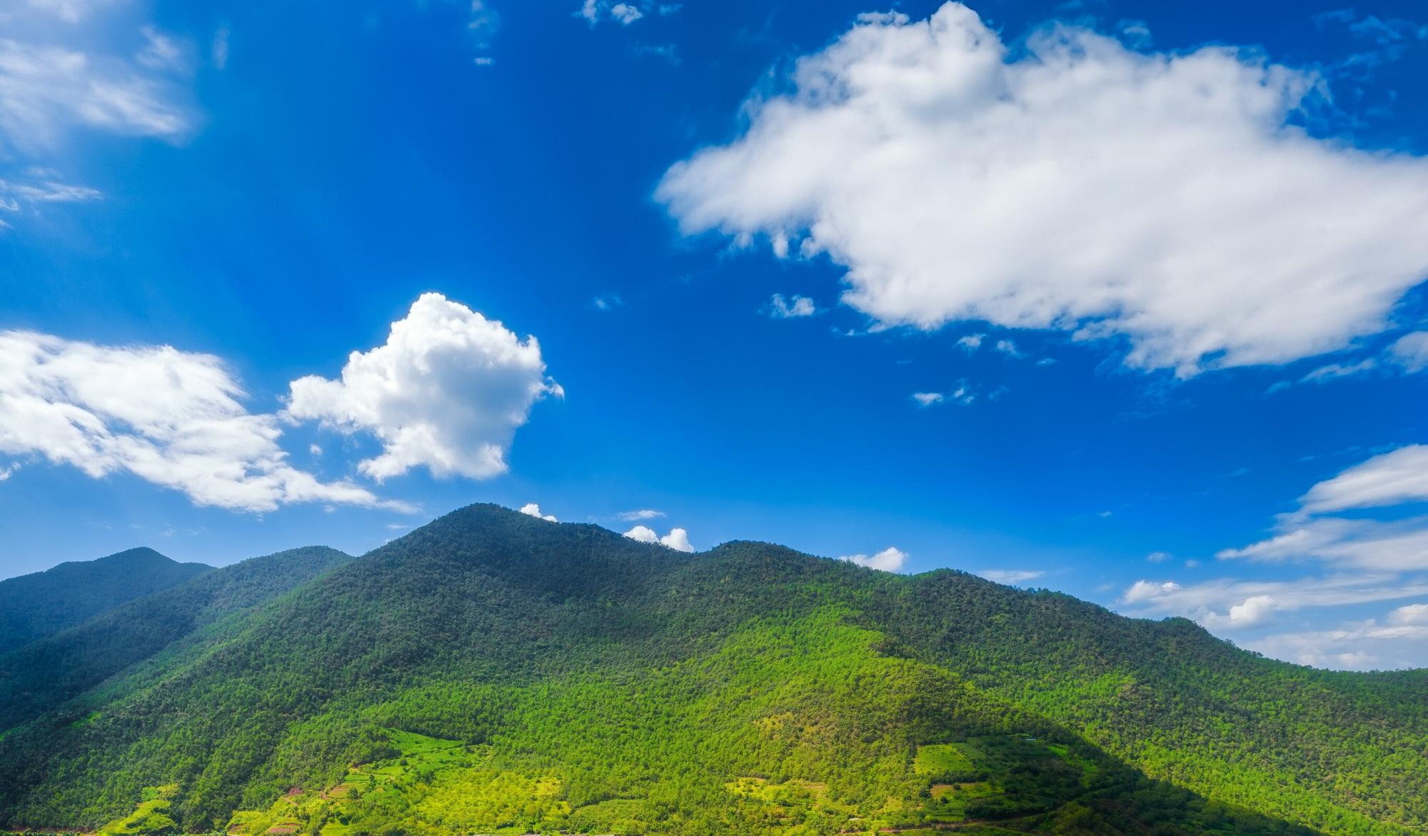 云南祥云县实施关闭矿山生态修复项目全力打造绿色高地