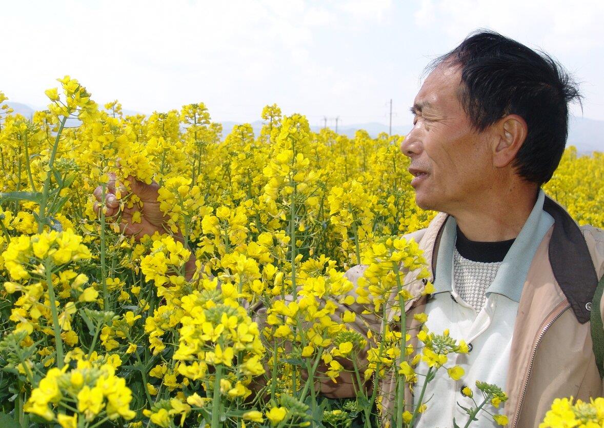 云南祥云县特色产业集群伸链铺就致富路