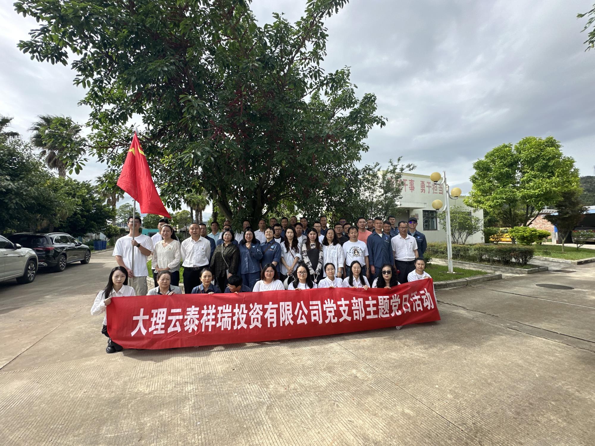 大理云泰祥瑞投资有限公司党支部开展主题党日活动