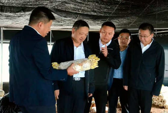 要闻｜杨国宗调研州属国有企业改革发展工作时强调 强化责任担当 深化改革创新 全力推动国有企业高质量发展