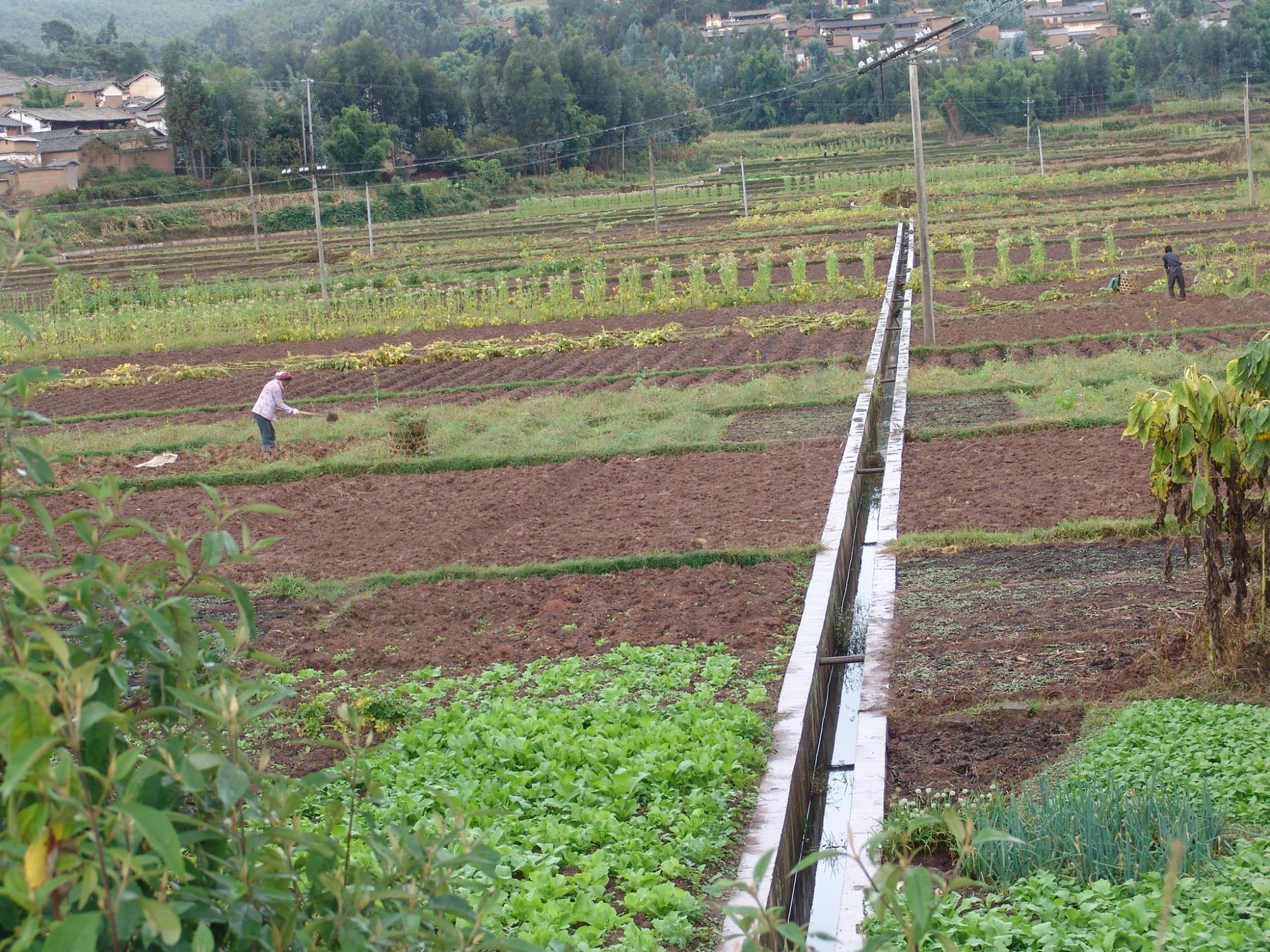 云南祥云县稳步推进高标准农田建设