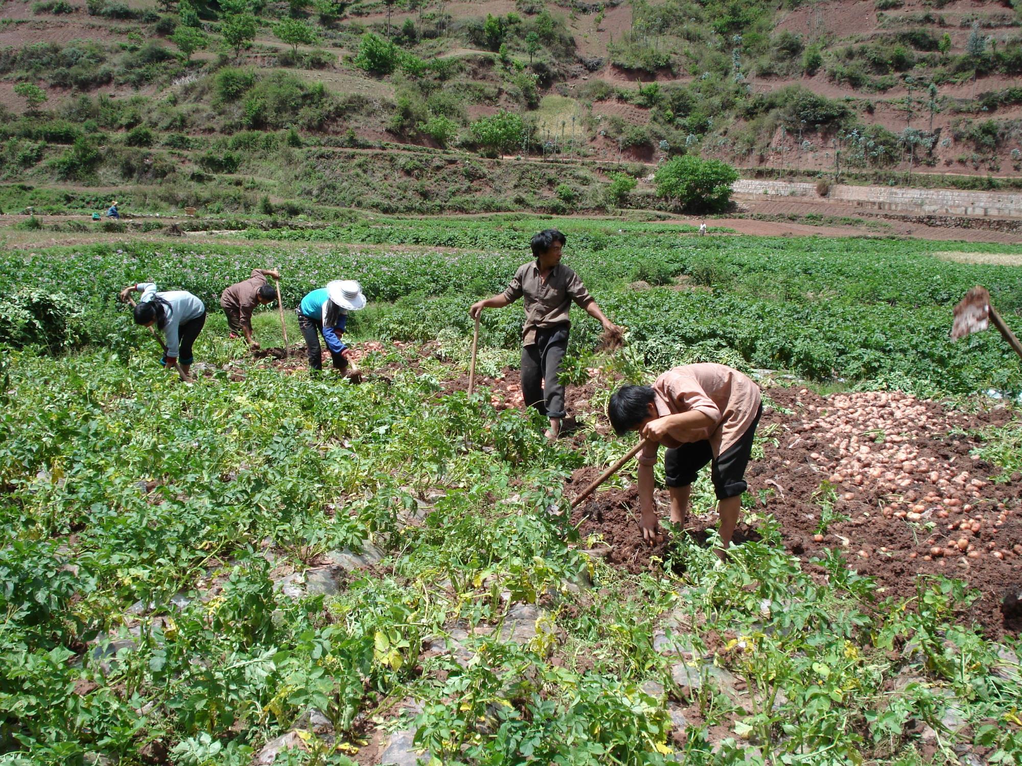 云南省祥云县科技赋能绿色发展