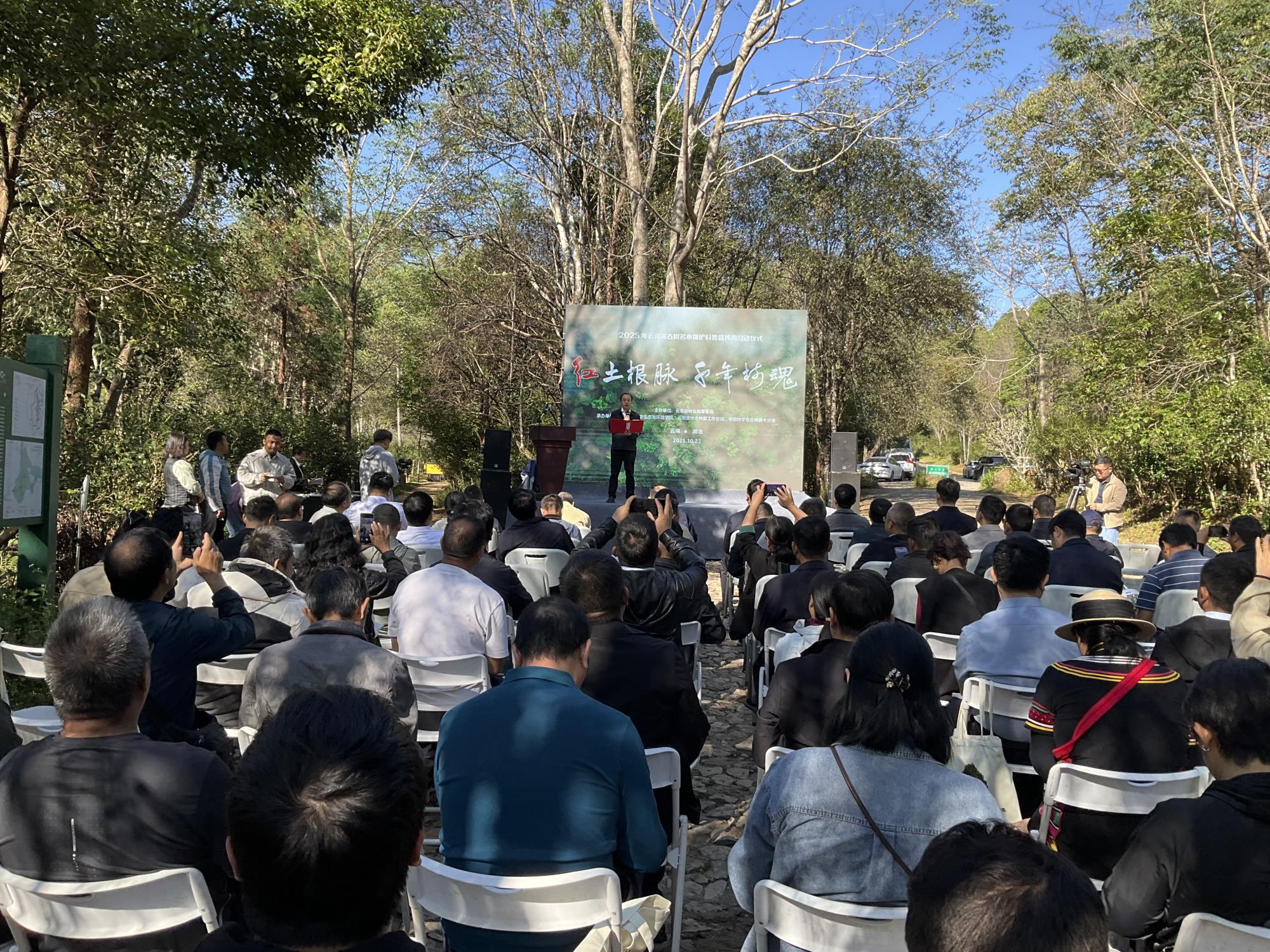 云南2025年古树名木保护科普宣传周活动启动