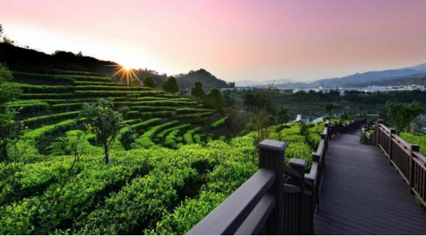 数智赋能“世界之最”，开放激活边疆活力：云南临沧以“三大抓手”绘就“十五五”乡村振兴高质量图景