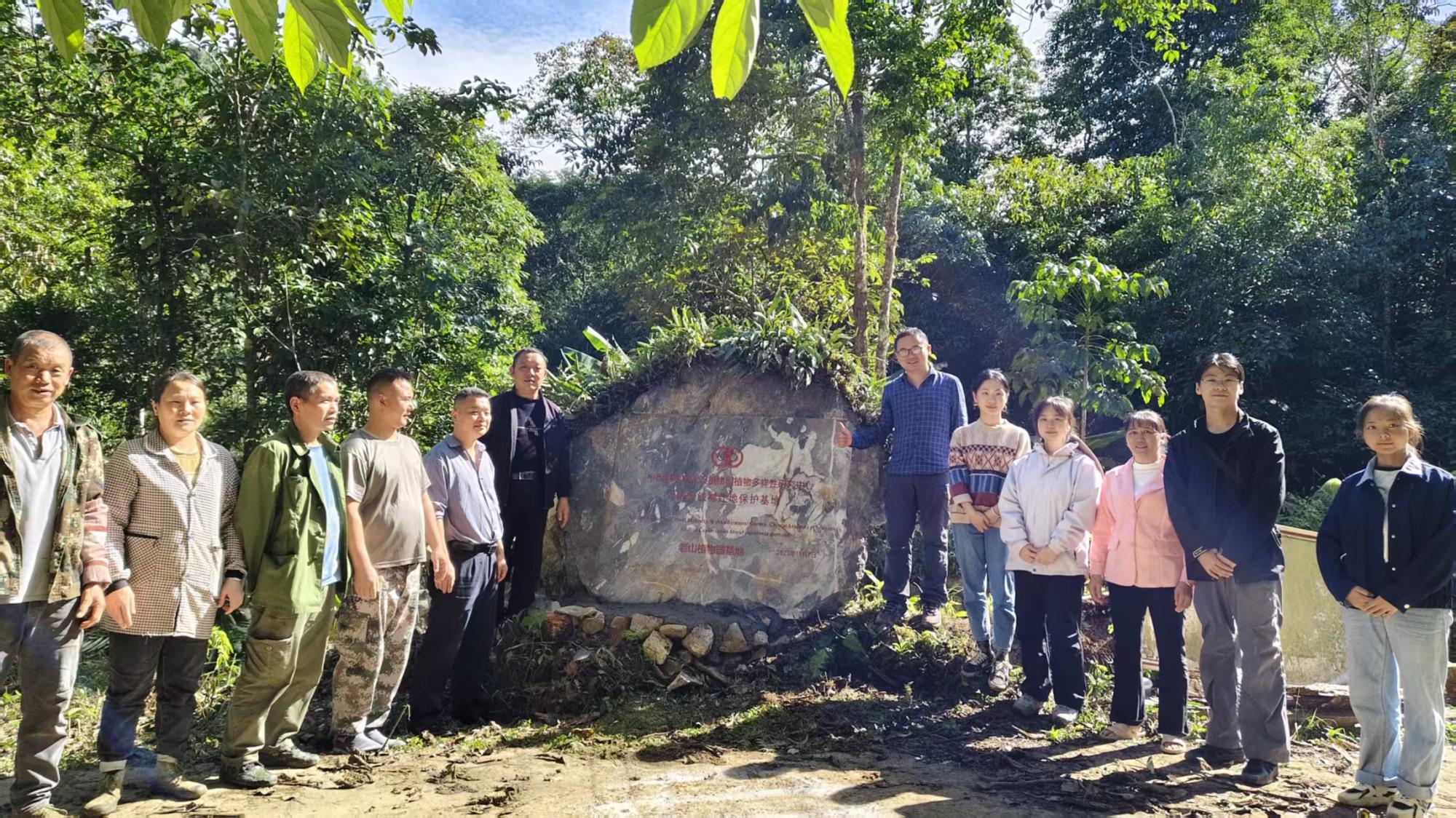 跨越千里的生命接力 极小种群云南金钱槭在老山成功“安家”