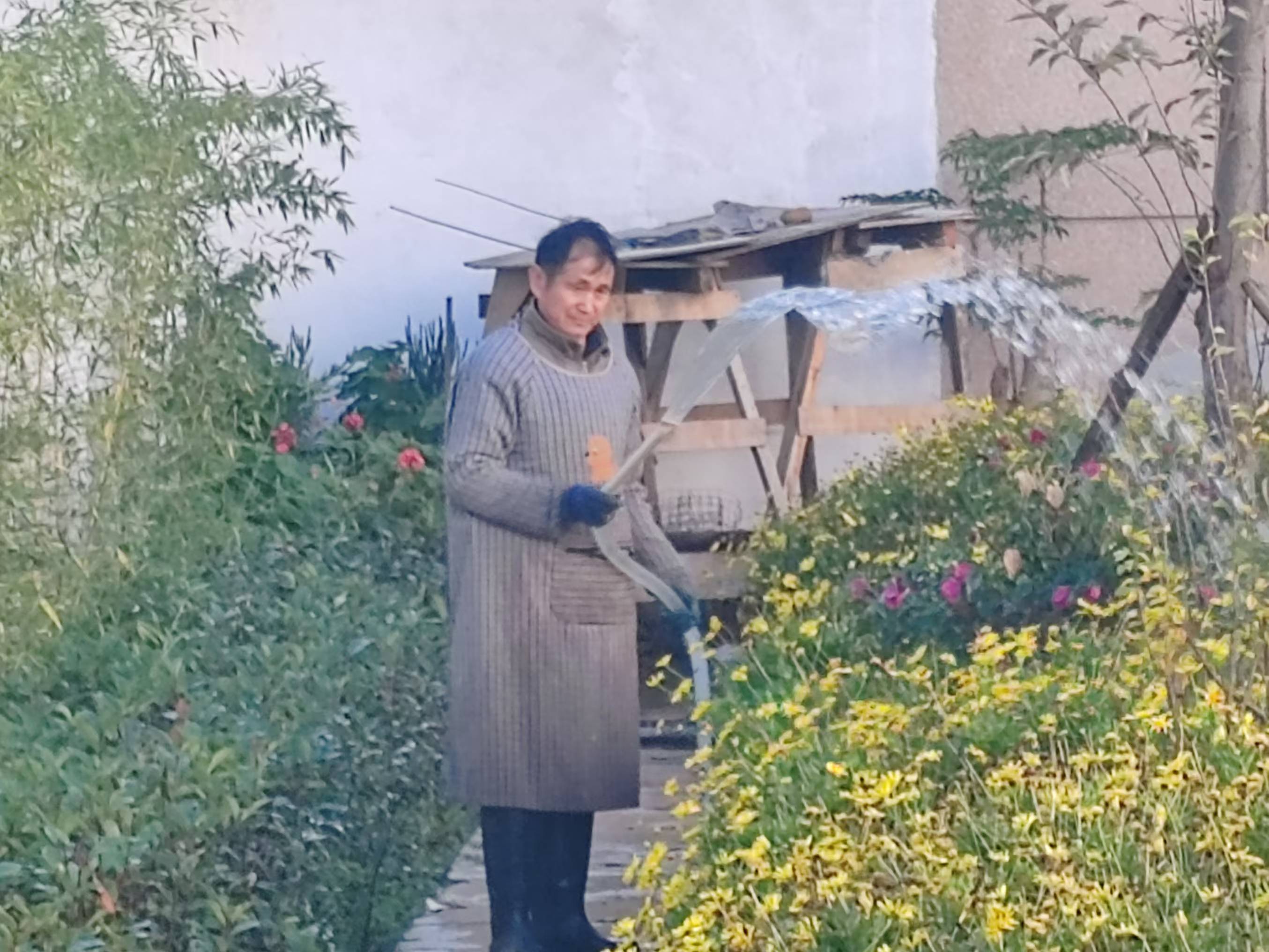 云南祥云县以园林城镇建设为引擎拉动城乡融合发展