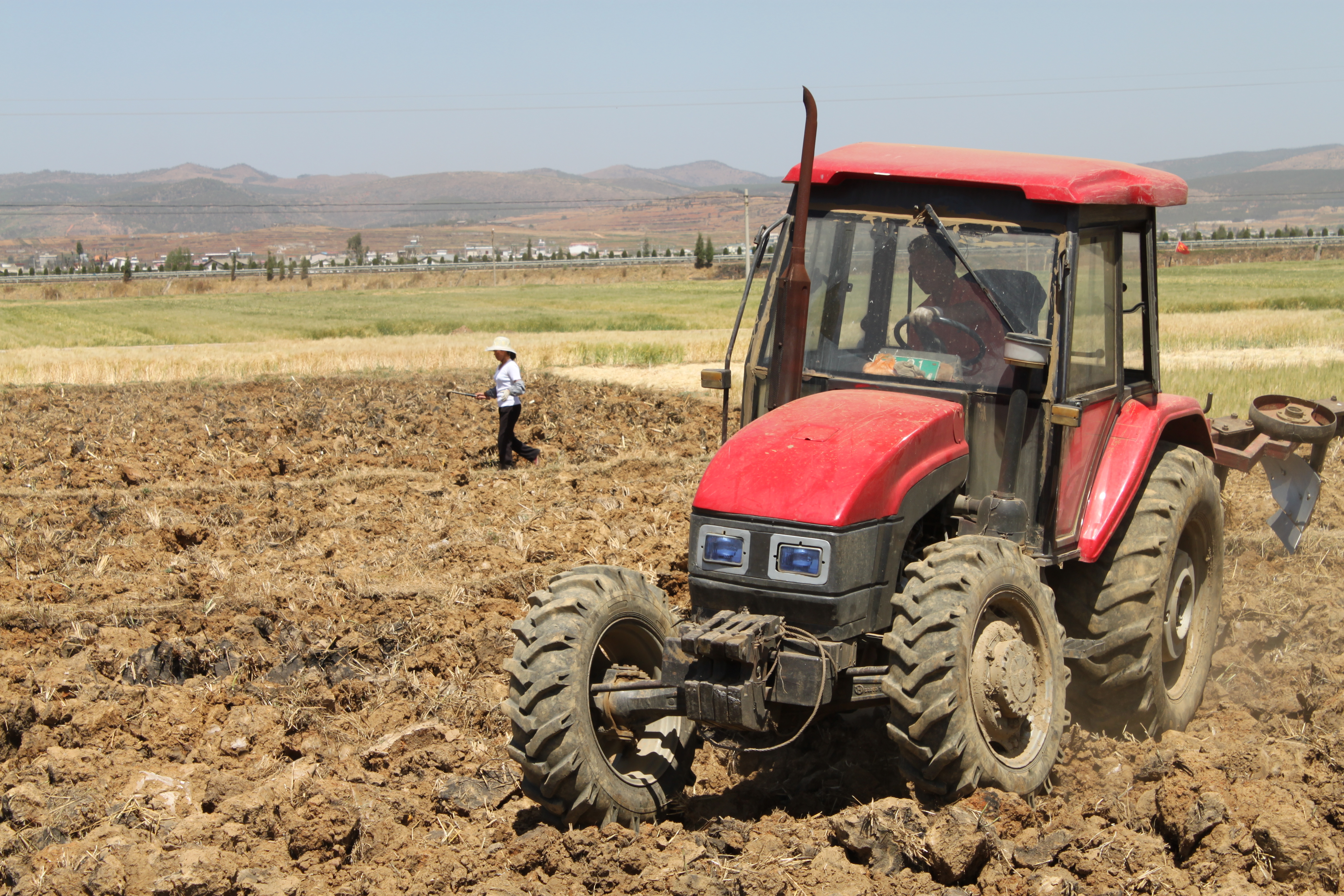 云南祥云农机农艺融合提升复合型种植水平助力群众增收