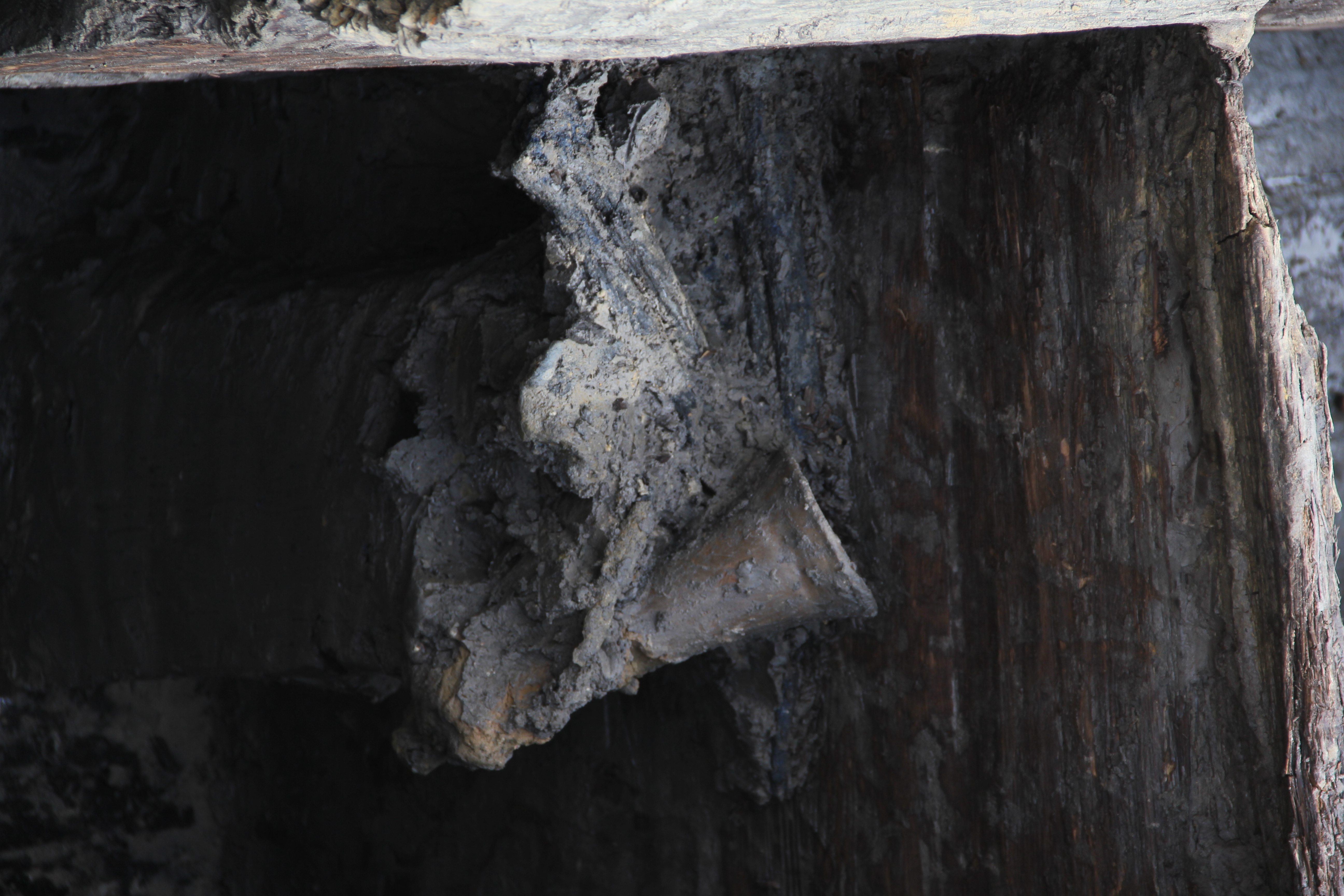 【大波那考古回眸】蓝骨之谜