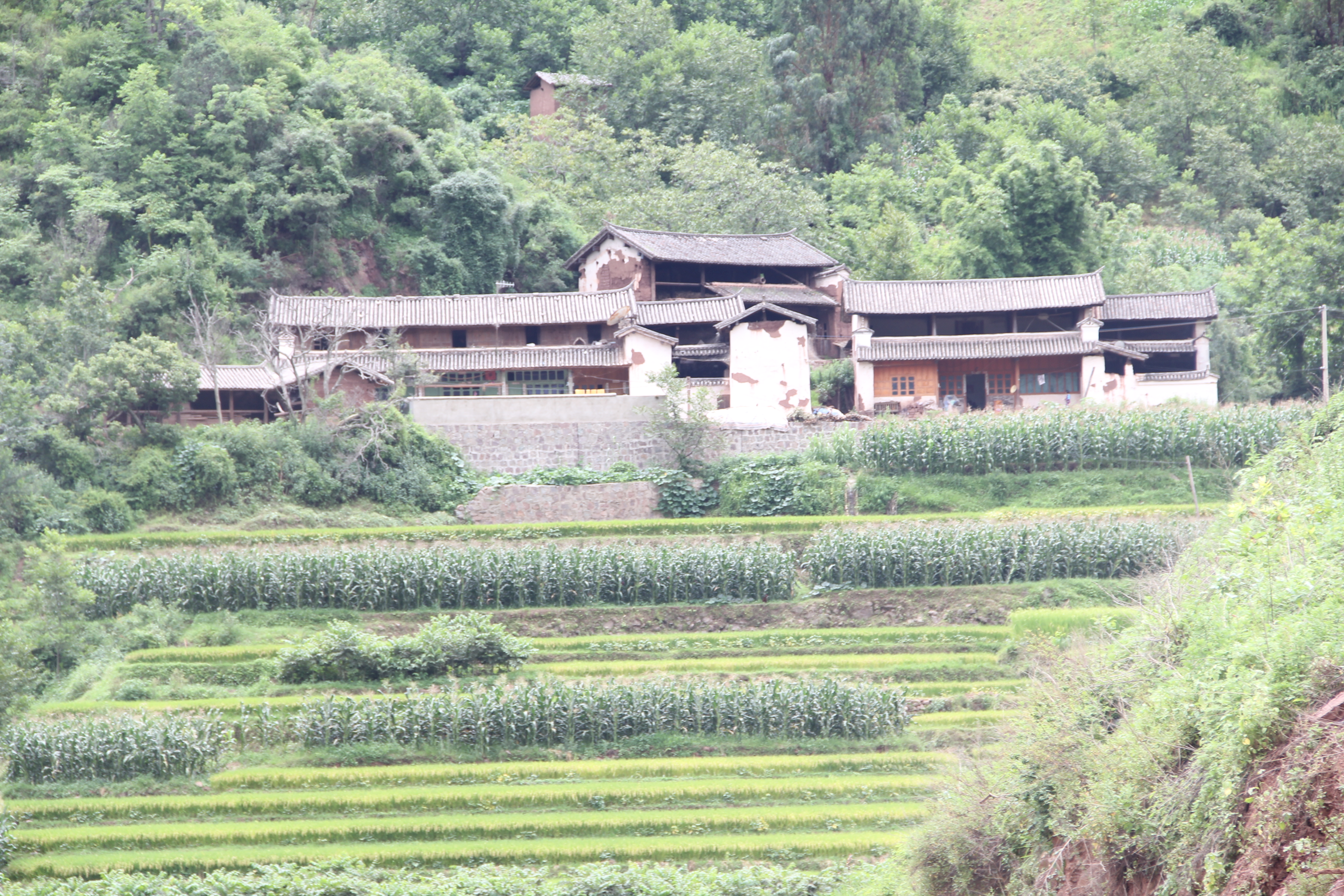 云南祥云县优化生态美化环境推进绿色发展