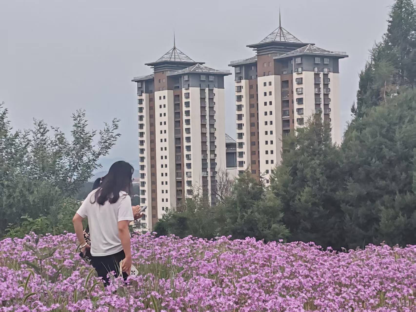 云南祥云县全力推进宜居城市建设