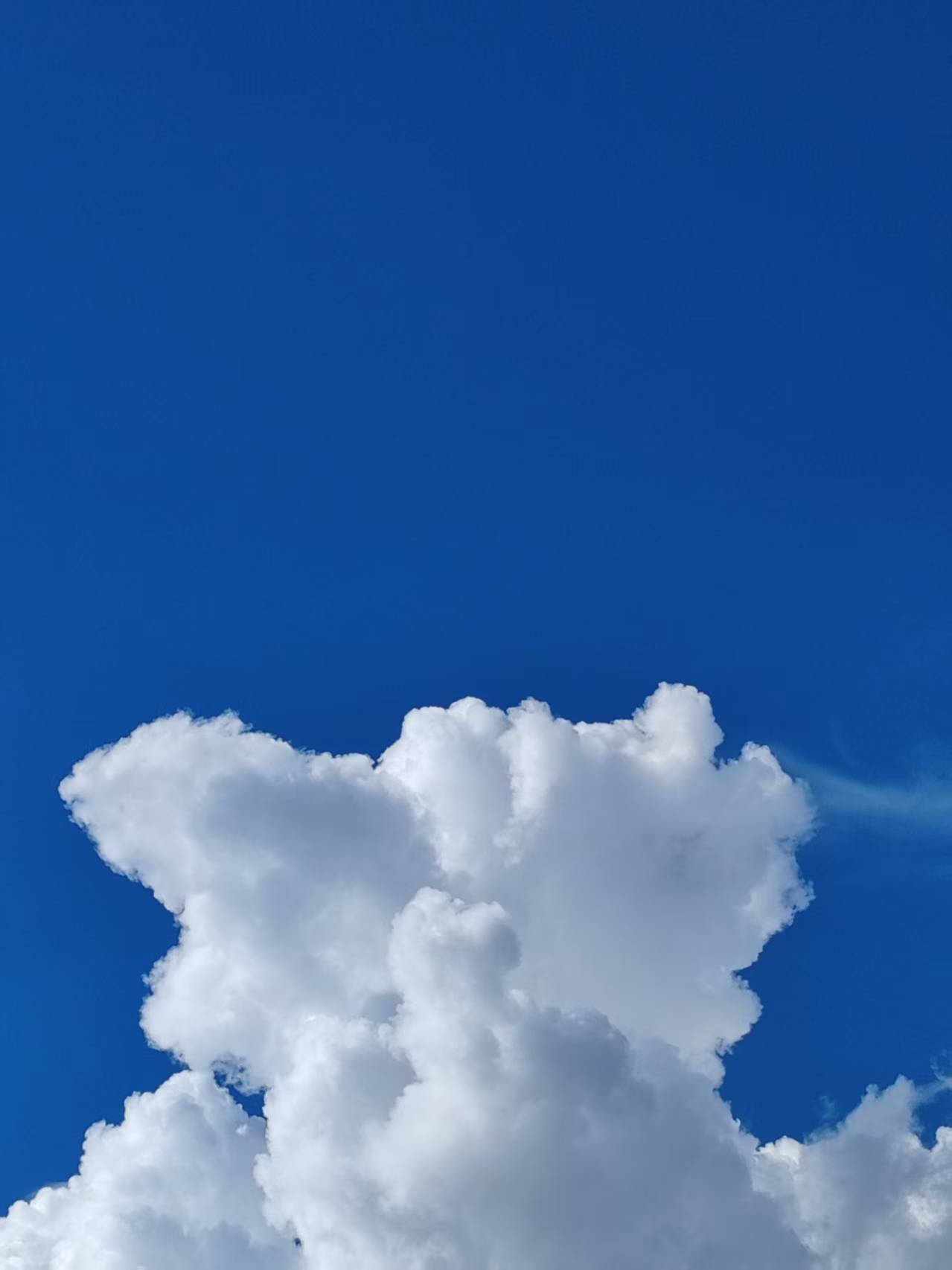 从深井救人想到“亡羊补牢”