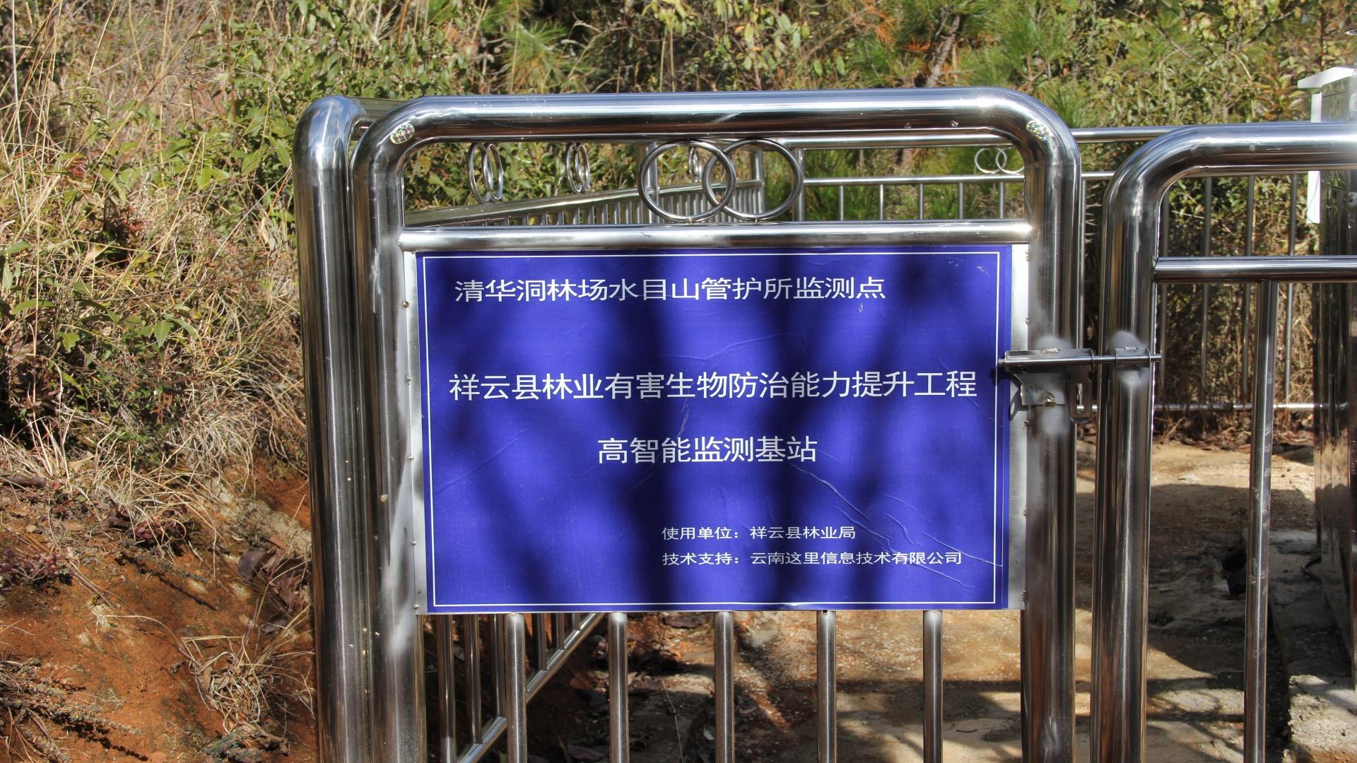 云南祥云县智能化监测森林虫害成效斐然
