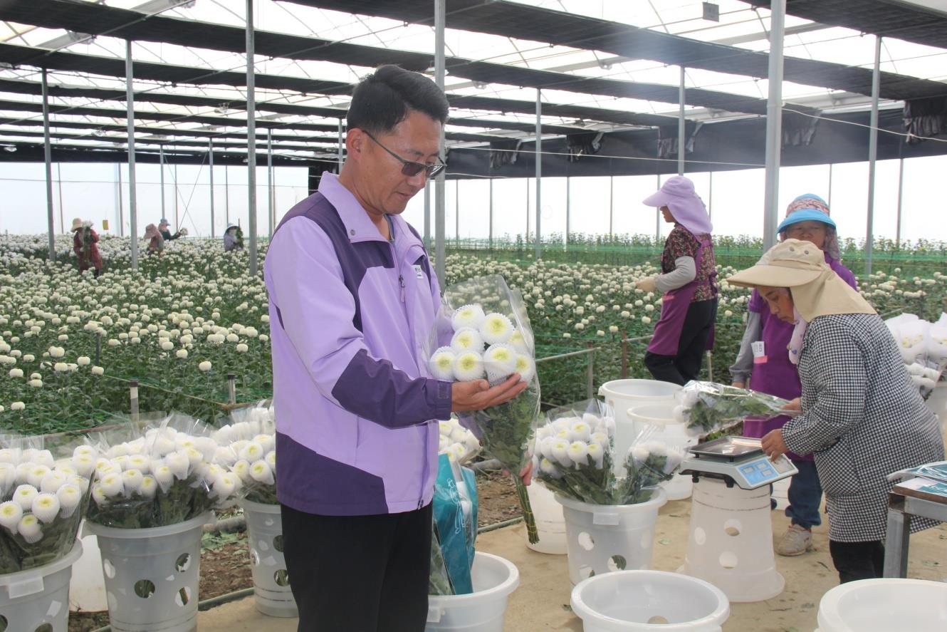 云南祥云县品牌战略助力乡村振兴