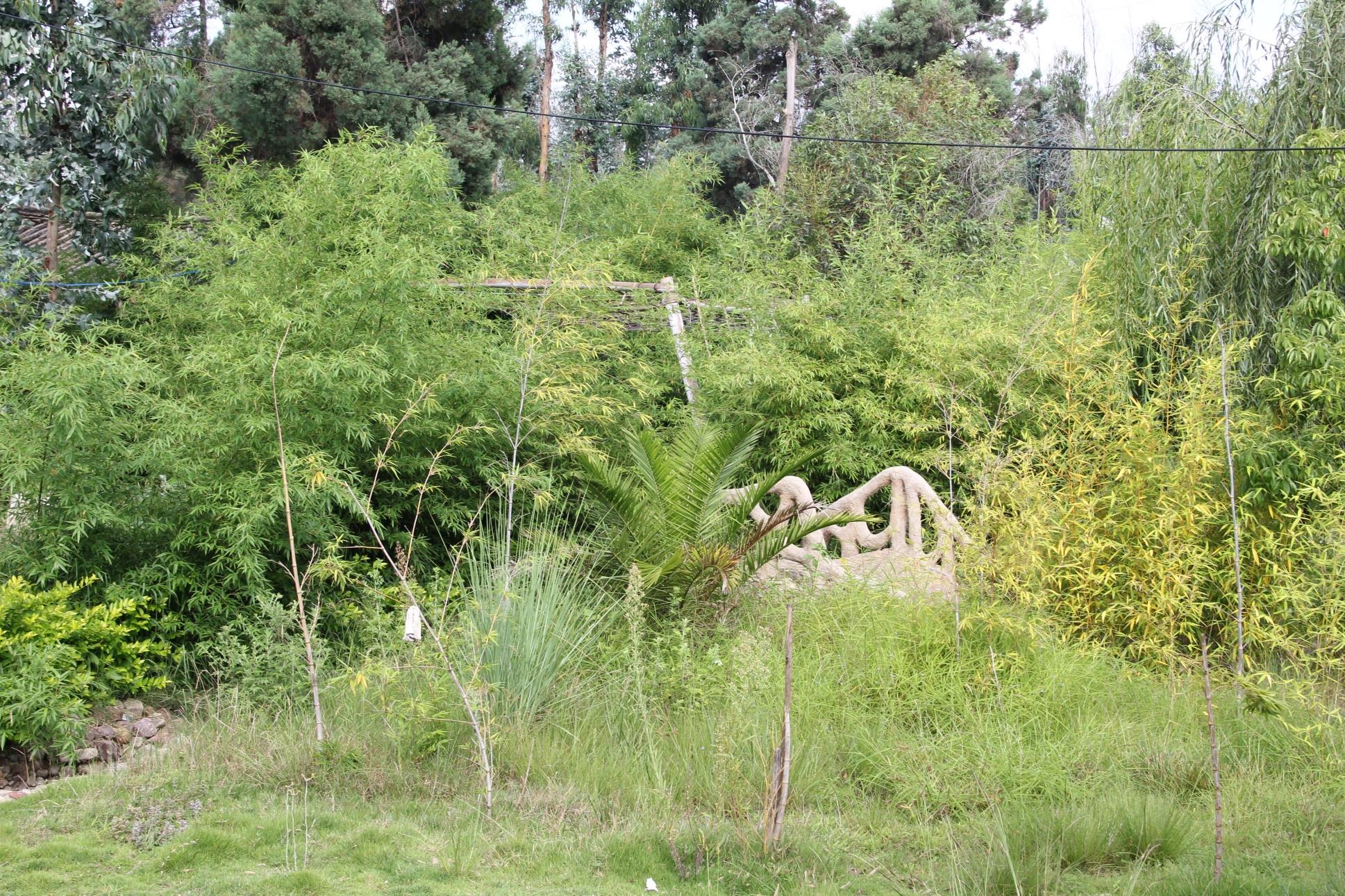 云南祥云县做强生态产业加快绿色发展步伐