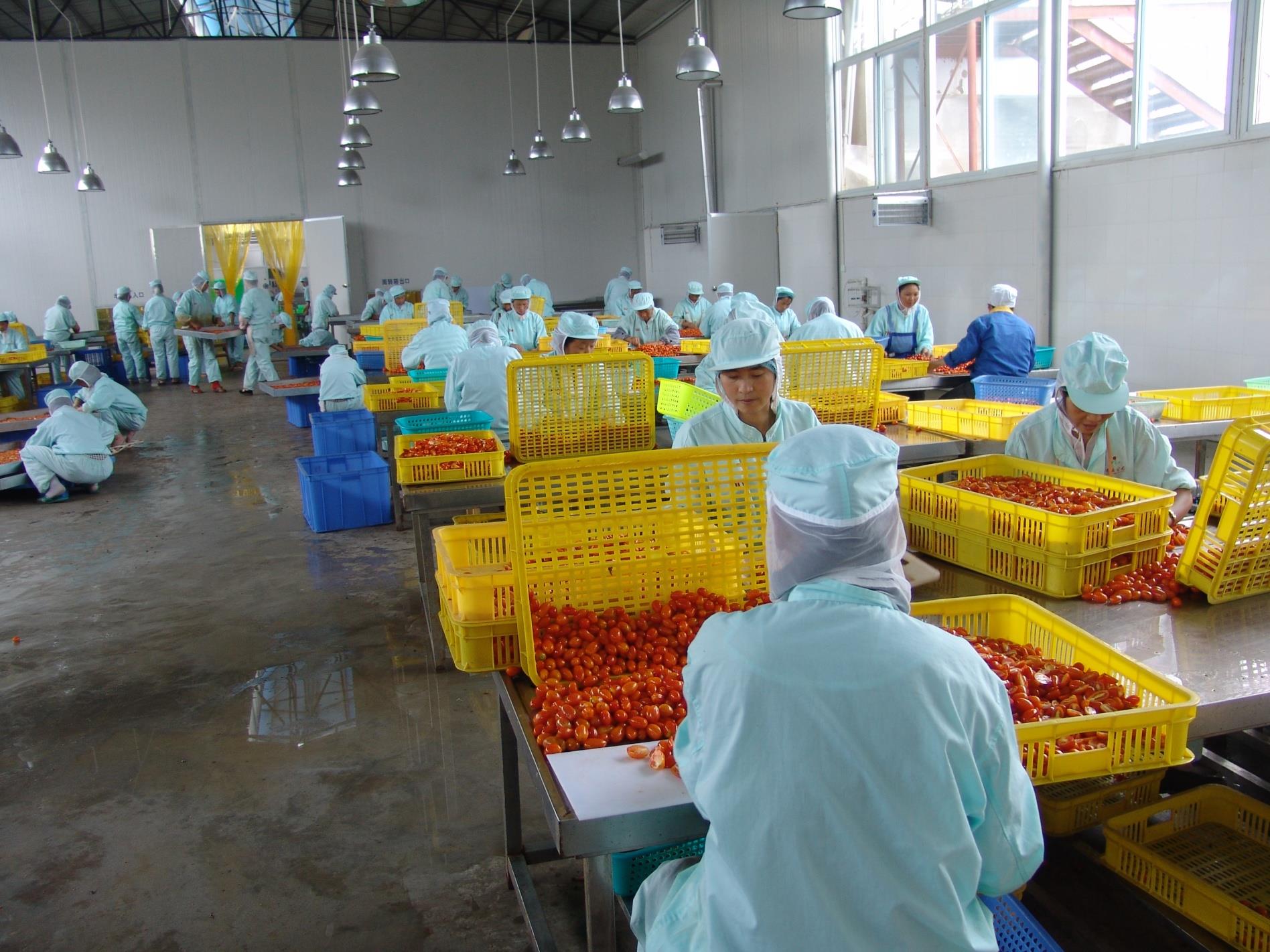 云南祥云县凝聚假期返乡大学生力量增强建设家乡责任感