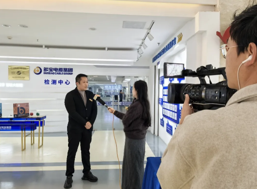 新闻记者进民企丨走进多宝电缆：赋能专精特新企业发展