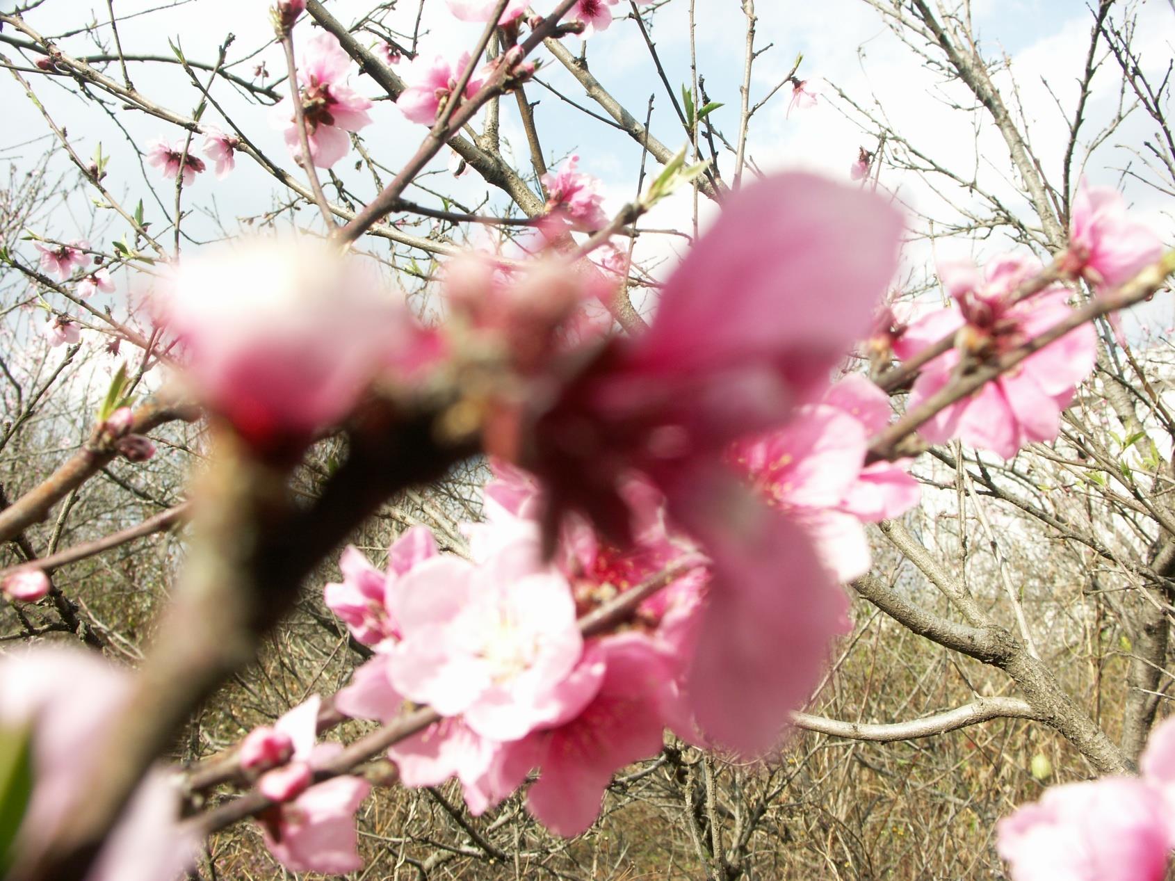 云南祥云县人民法院工作成绩显著