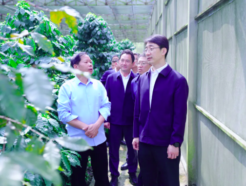 王云霏调研咖啡产业、农业农村工作时强调：扬优势补短板 推动全州农业农村工作高质量发展