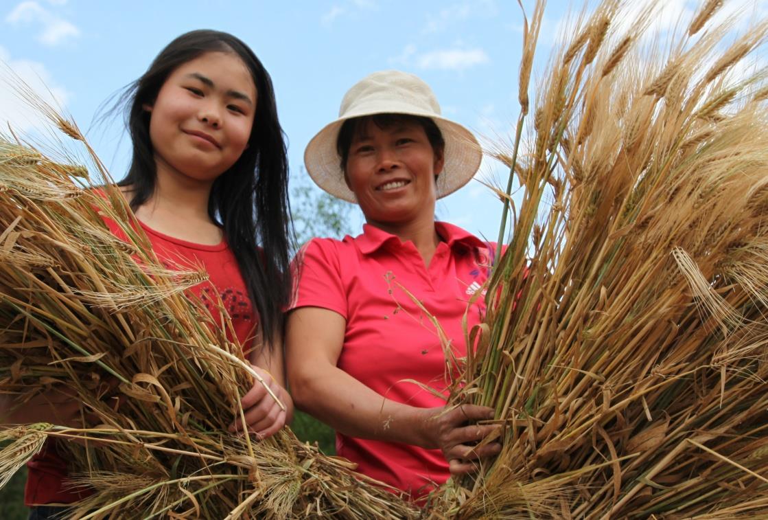 云南祥云县优化生态环境塑造美丽家园