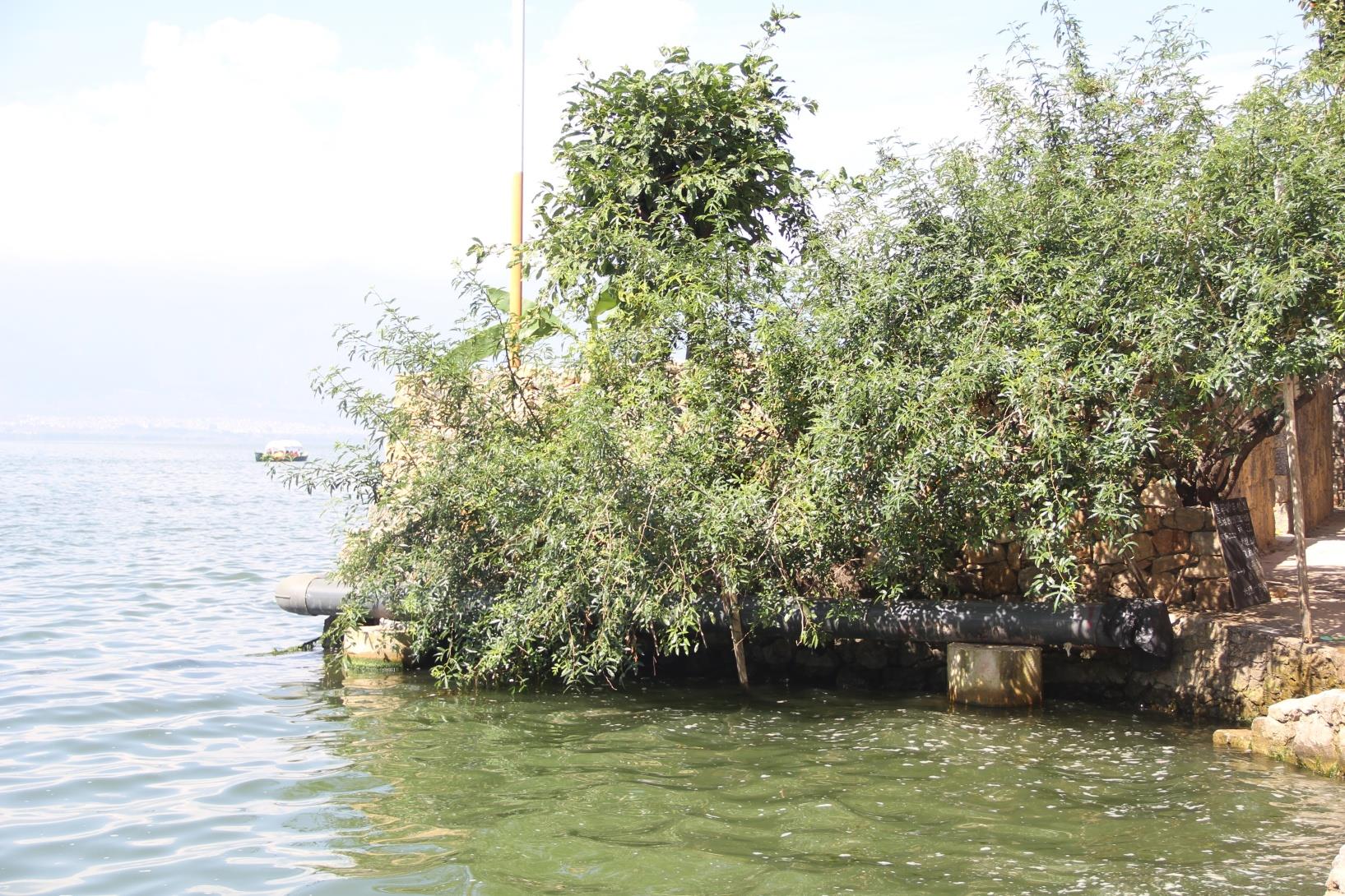 云南祥云县奋力开创人大工作高质量发展新局面