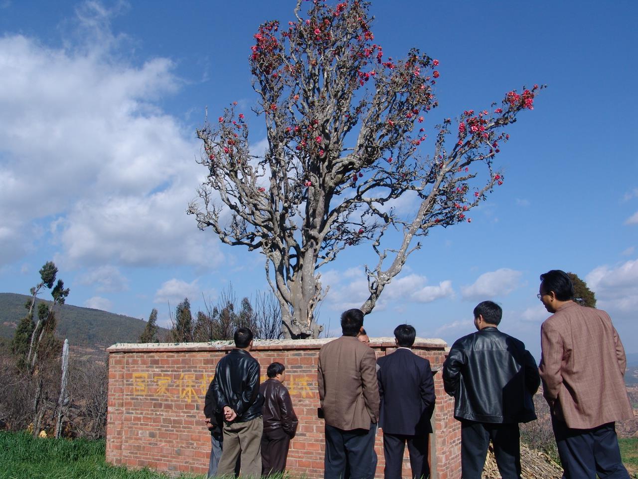 云南祥云县政协持续提升履职能力建设