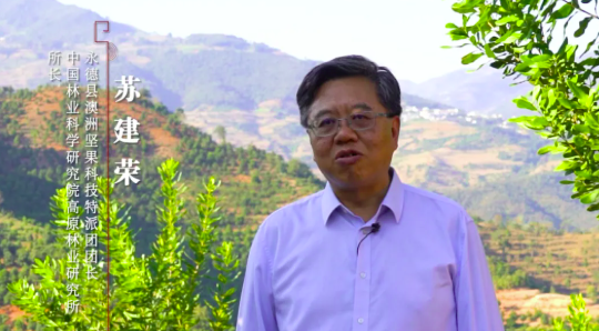 云南科特派 | 永德团·打造临沧坚果“金色名片”