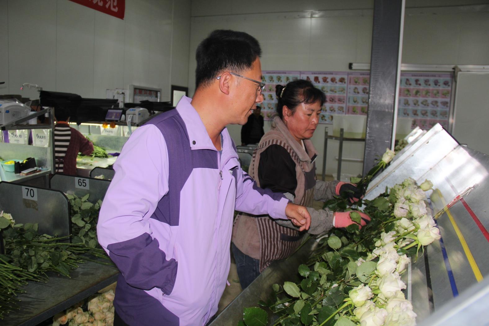 云南祥云县拓展农村就业岗位激活乡村振兴活力