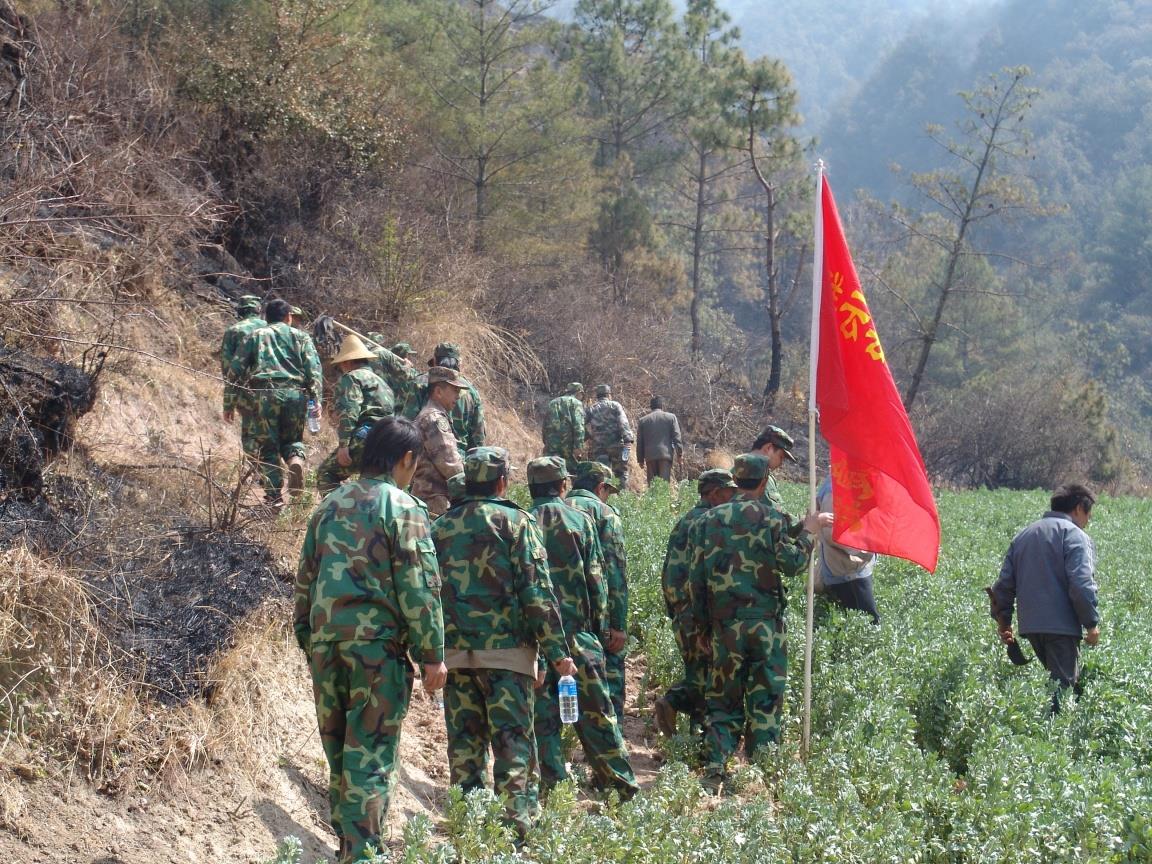 军民携手共绘发展新画卷