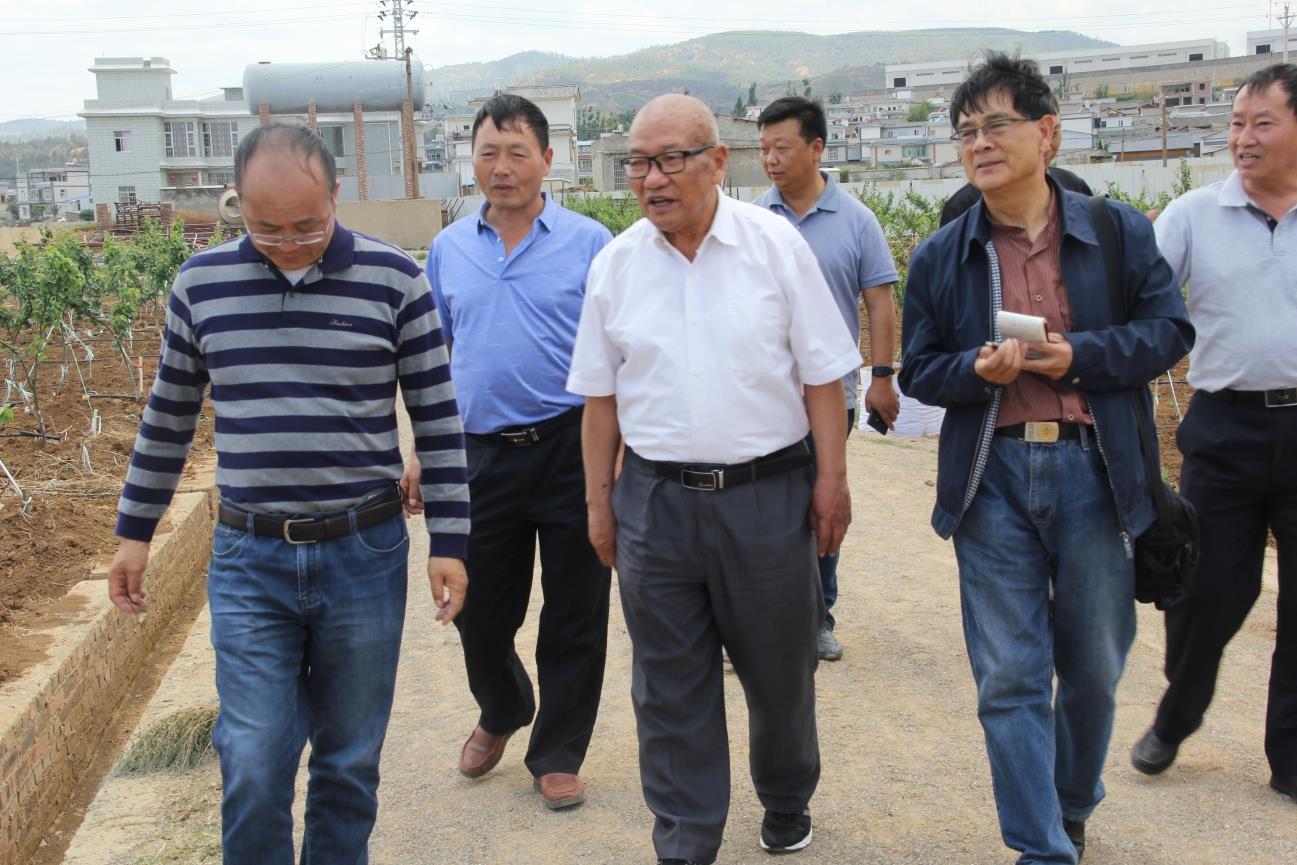 云南祥云县老科协积极开辟科普助力乡村振兴新路径