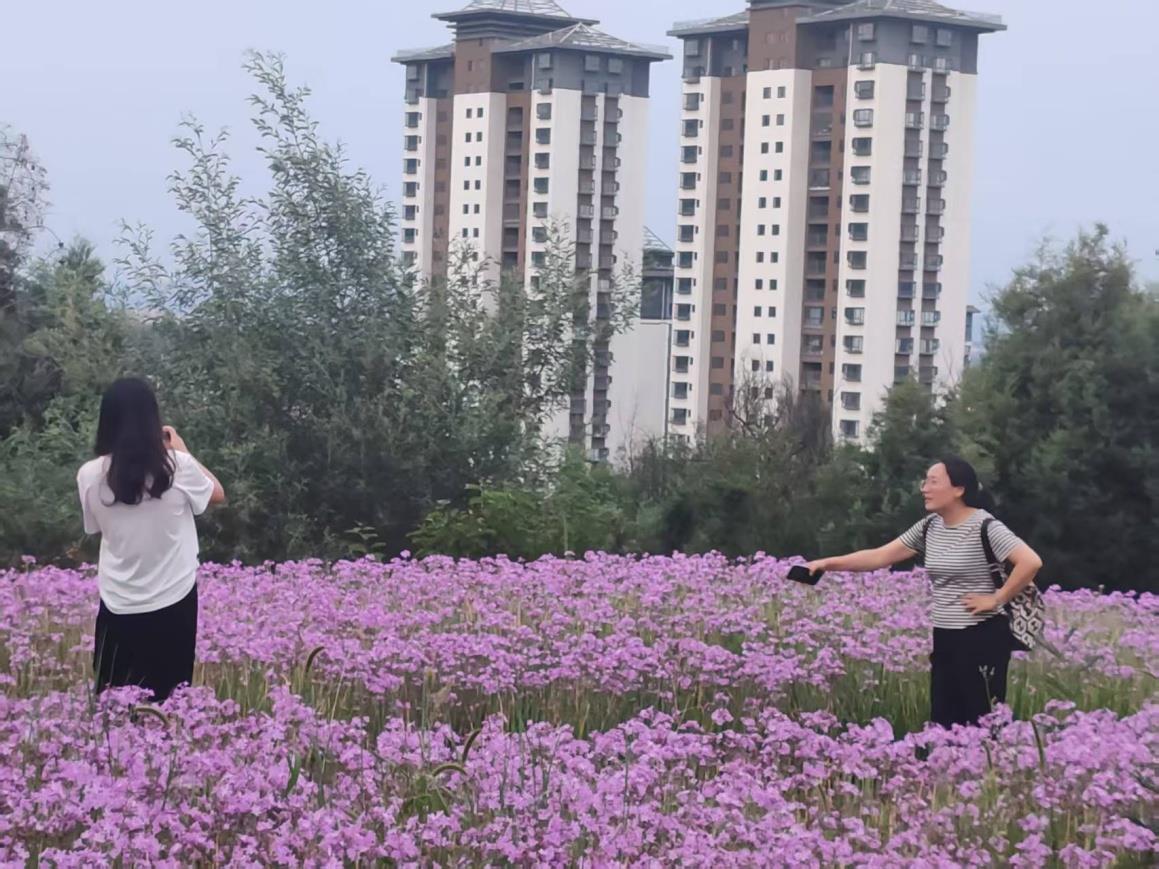 云南祥云县推进生态文明建设提升民生福祉