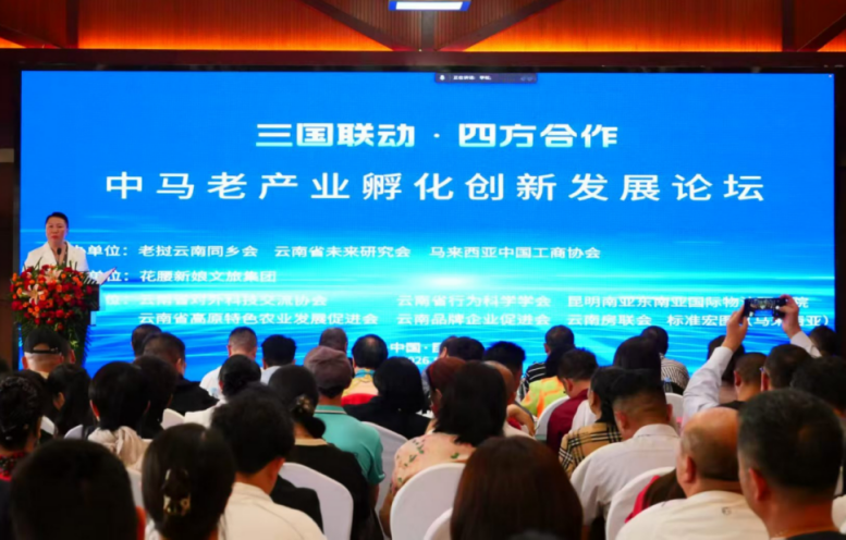 人工智能技术赋能企业做强 文旅商融合助力企业出海