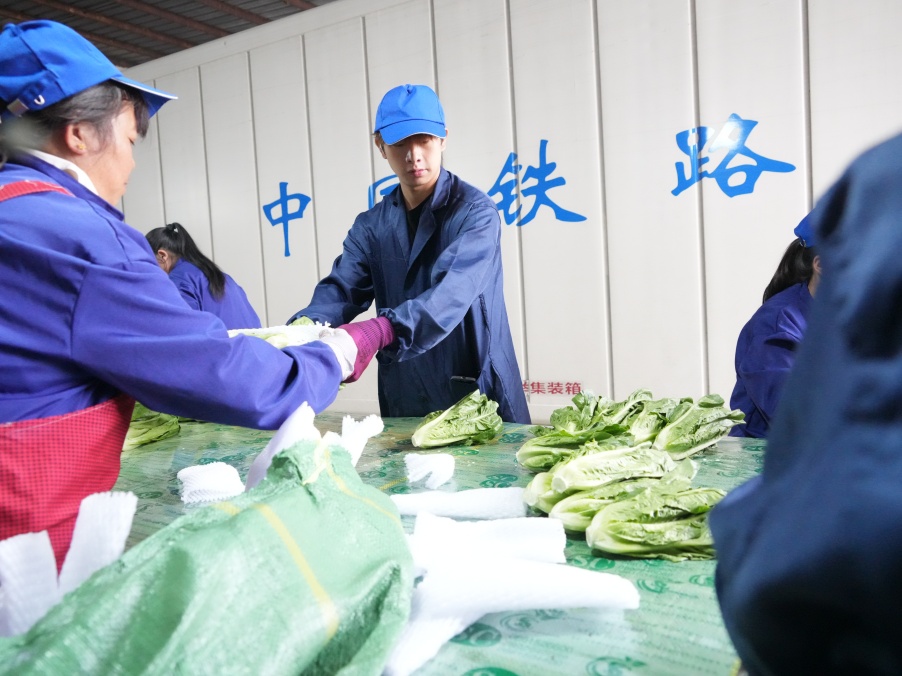 中老铁路今年冷链蔬菜出口超10万吨