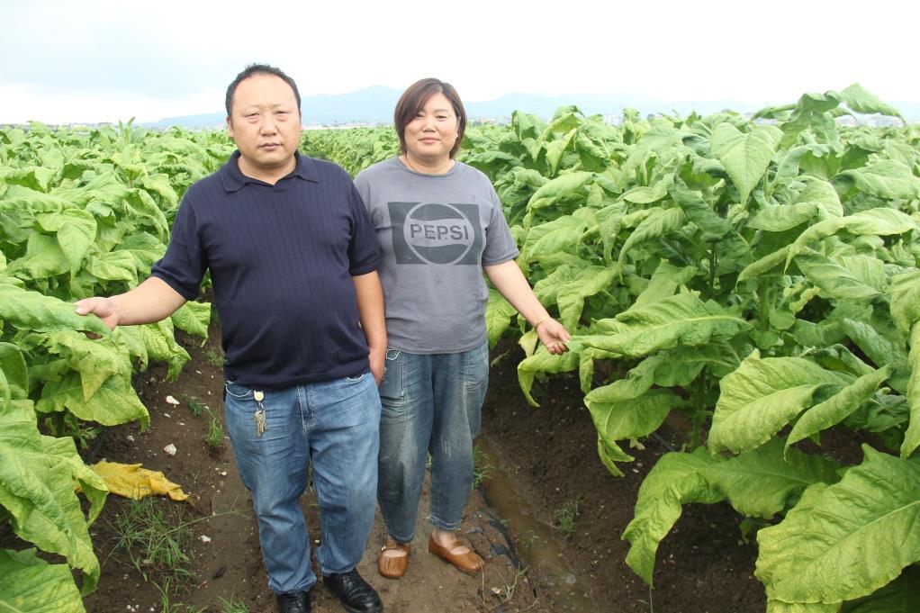 云南祥云县黄家田村杨翠花将大爱写在家乡的土地上